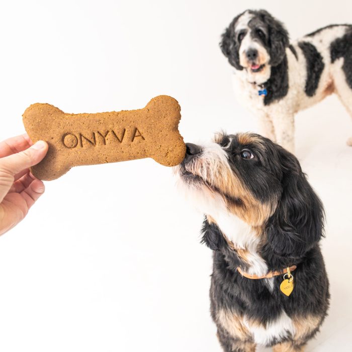 Madeline and Satchel with Onyva bone